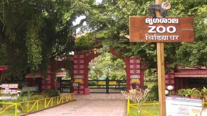 thiruvananthapuramn zoo