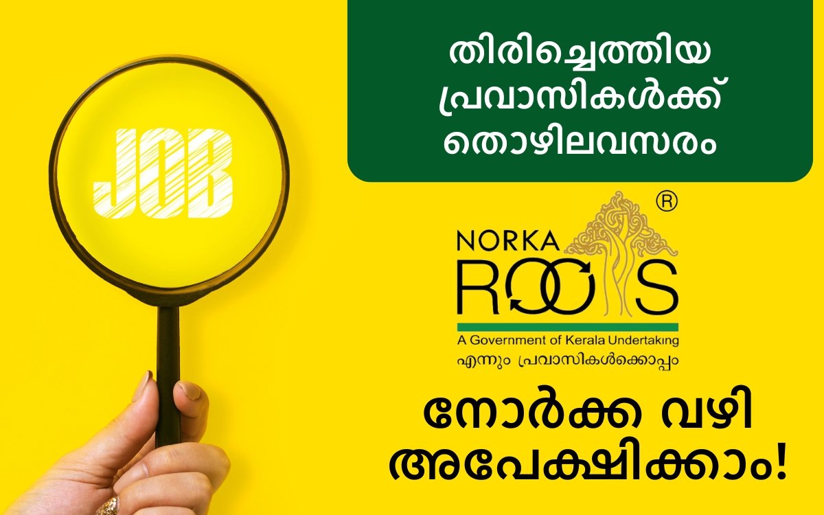 Job opportunities for returning expatriates through NORKA Roots