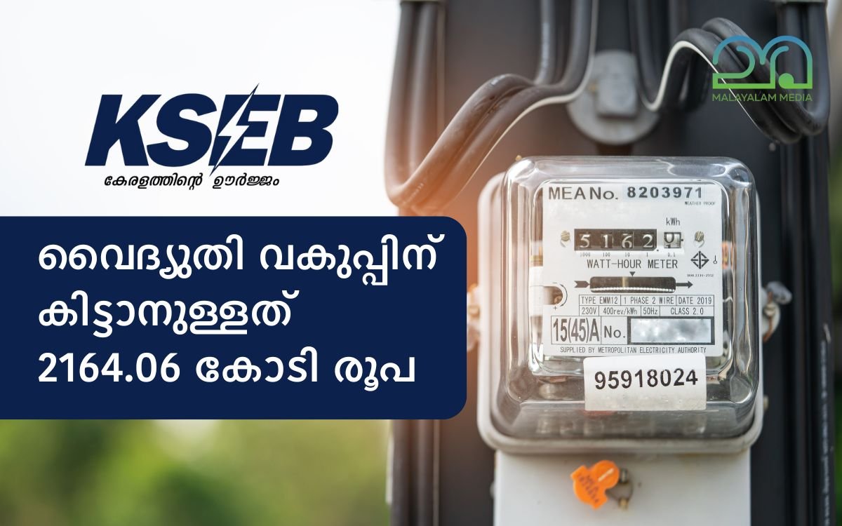 KSEB pending Bill due amount