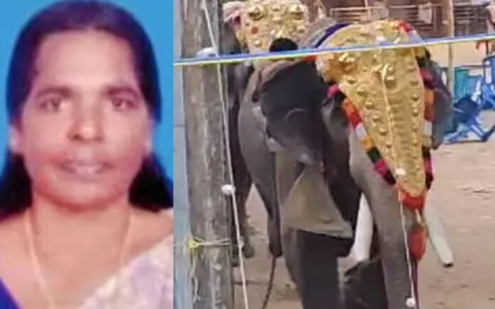 Koyilandi elephant attack victim leela