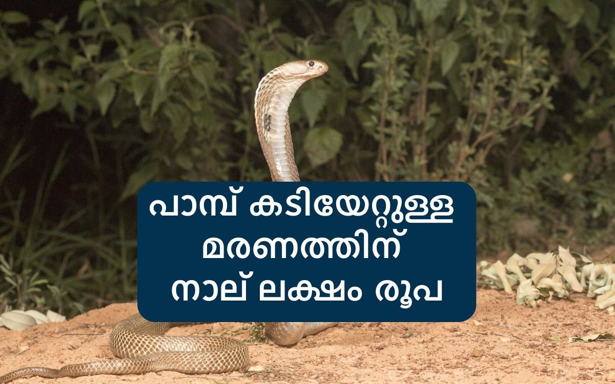 Snakebite victims compensation in Kerala