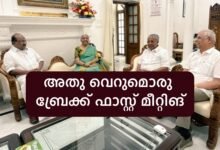 CM Pinarayi vijayan about Break fast meeting with Nirmala Sitharaman