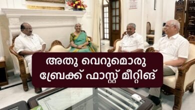 CM Pinarayi vijayan about Break fast meeting with Nirmala Sitharaman