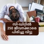 C-Dit Layoff