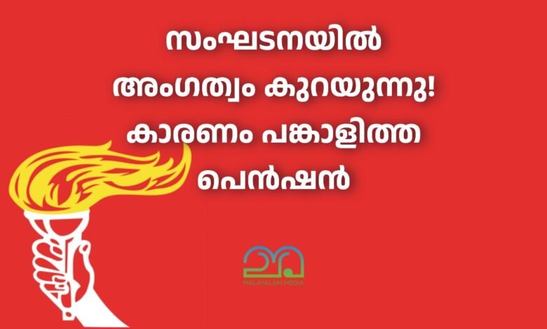 NGO Union