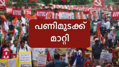 Trade unions postpone nationwide strike to July 9