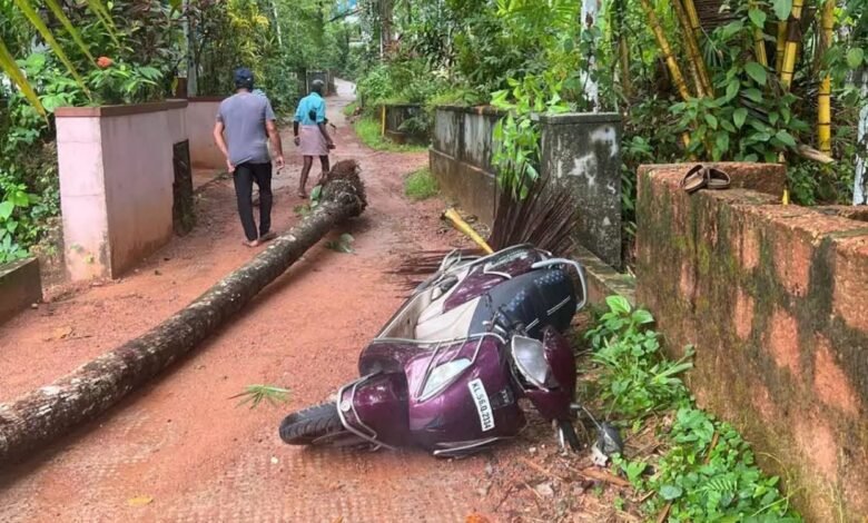 Vadakara Pavithran Death