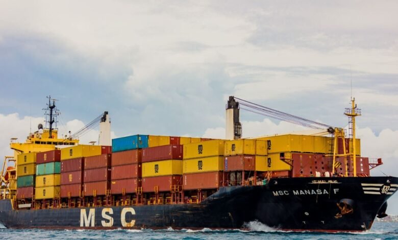 MSC Manasa F