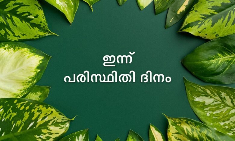 World Environment Day 2025