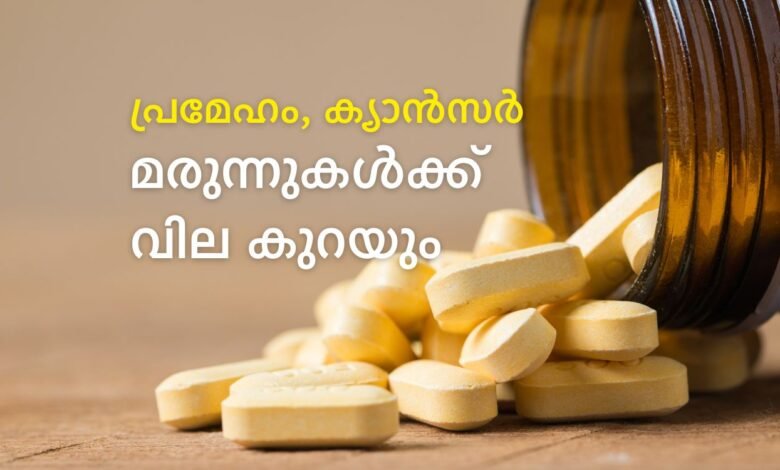 India drug price control NPPA