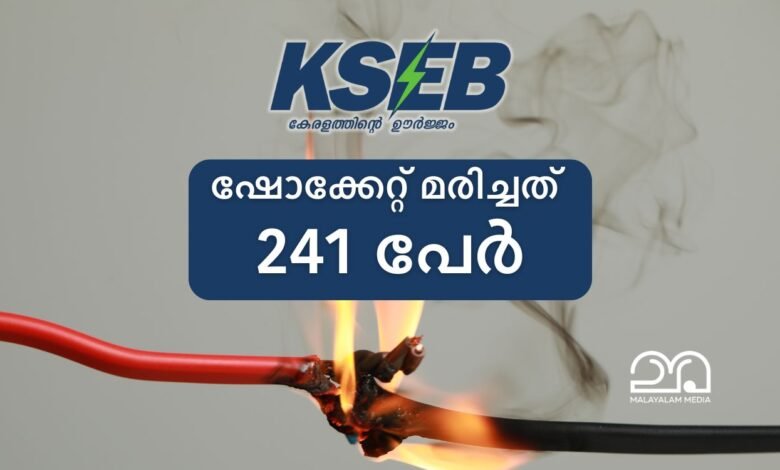 KSEB electrical accident statistics