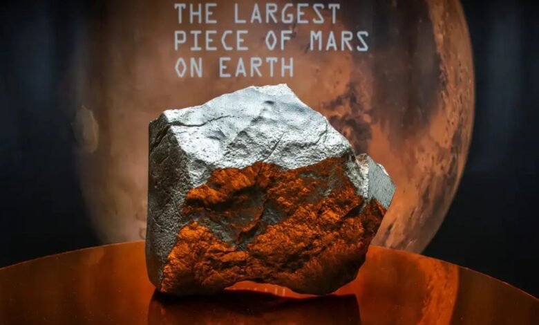 Mars meteorite auction Sotheby's