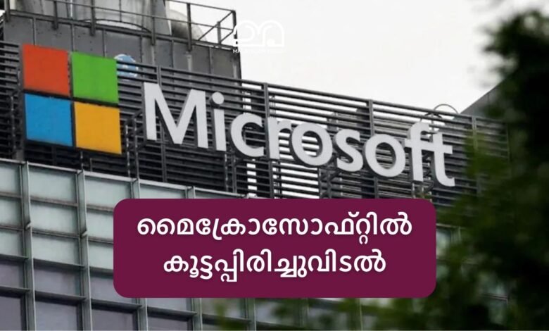 Microsoft layoffs 2025