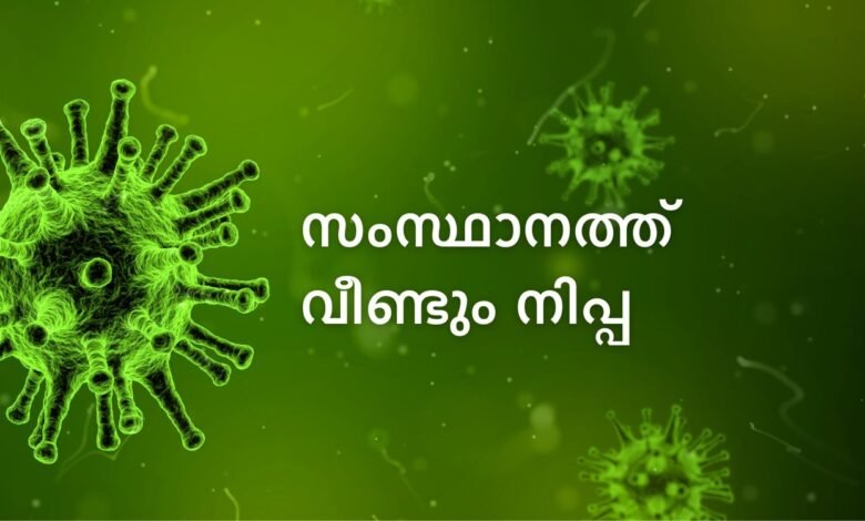 Nipah virus outbreak Kerala 2025